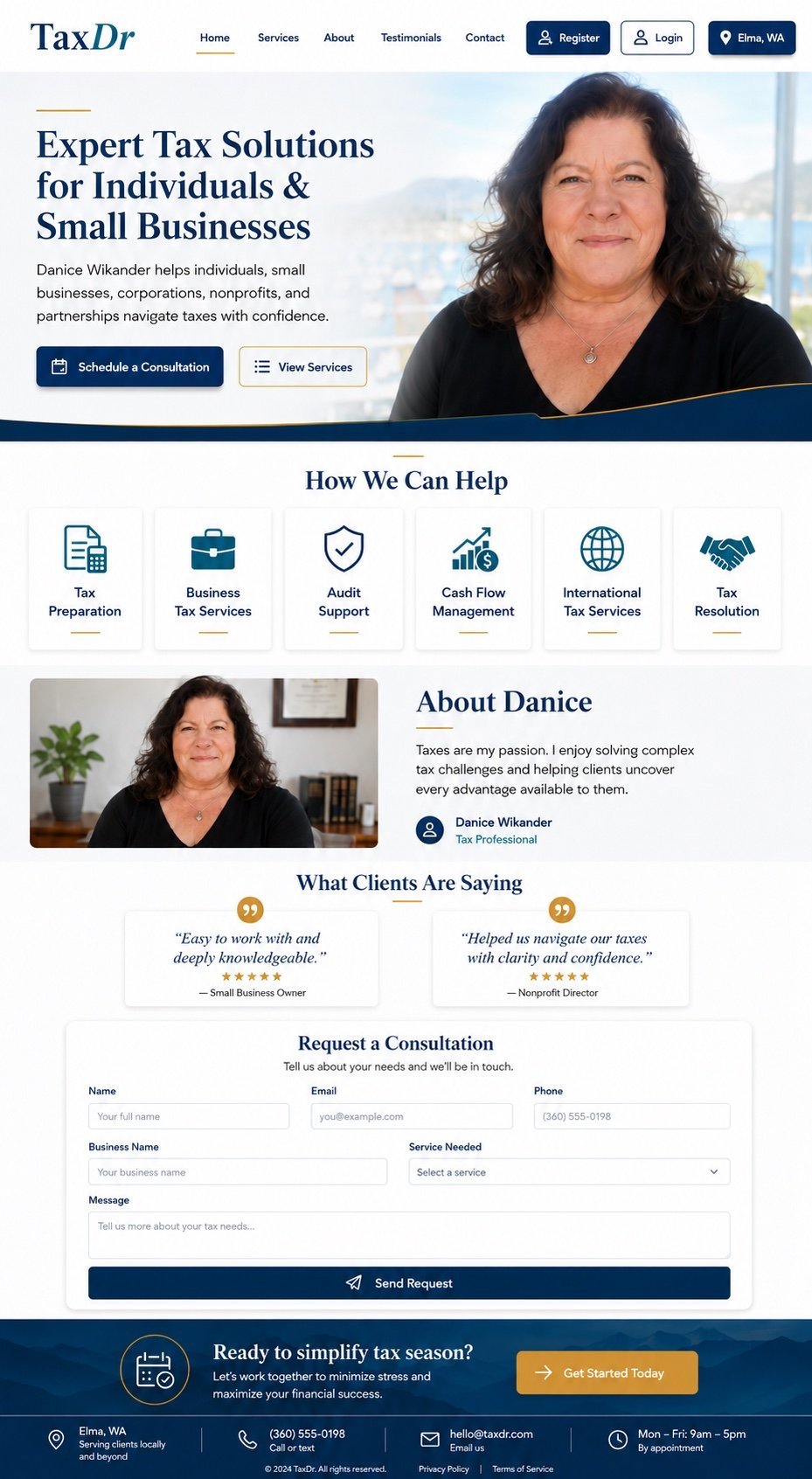 TaxDr professional tax services website concept